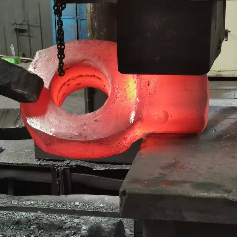 Cur Annulus Type Special informibus Forgings Critica pro Modern Industrial Applications